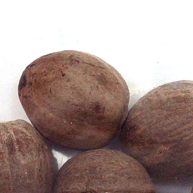 Muskatnuss ganz