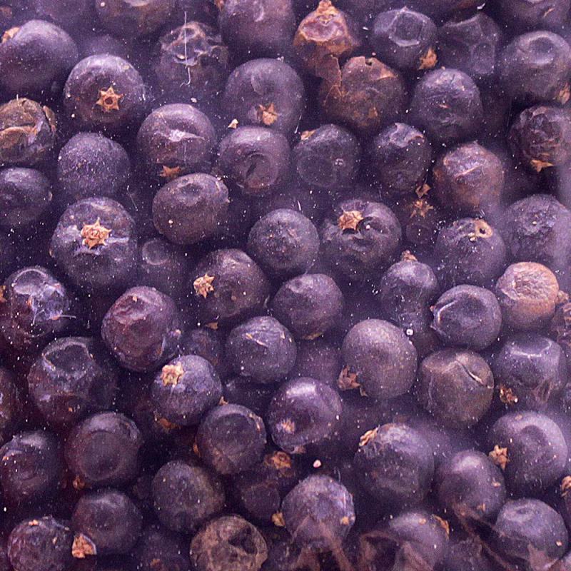 Wacholderbeeren